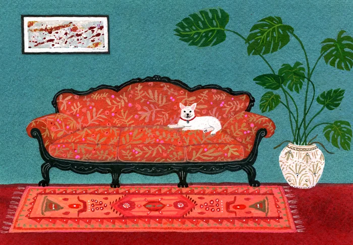 dogcouch_beccastadtlander.jpg