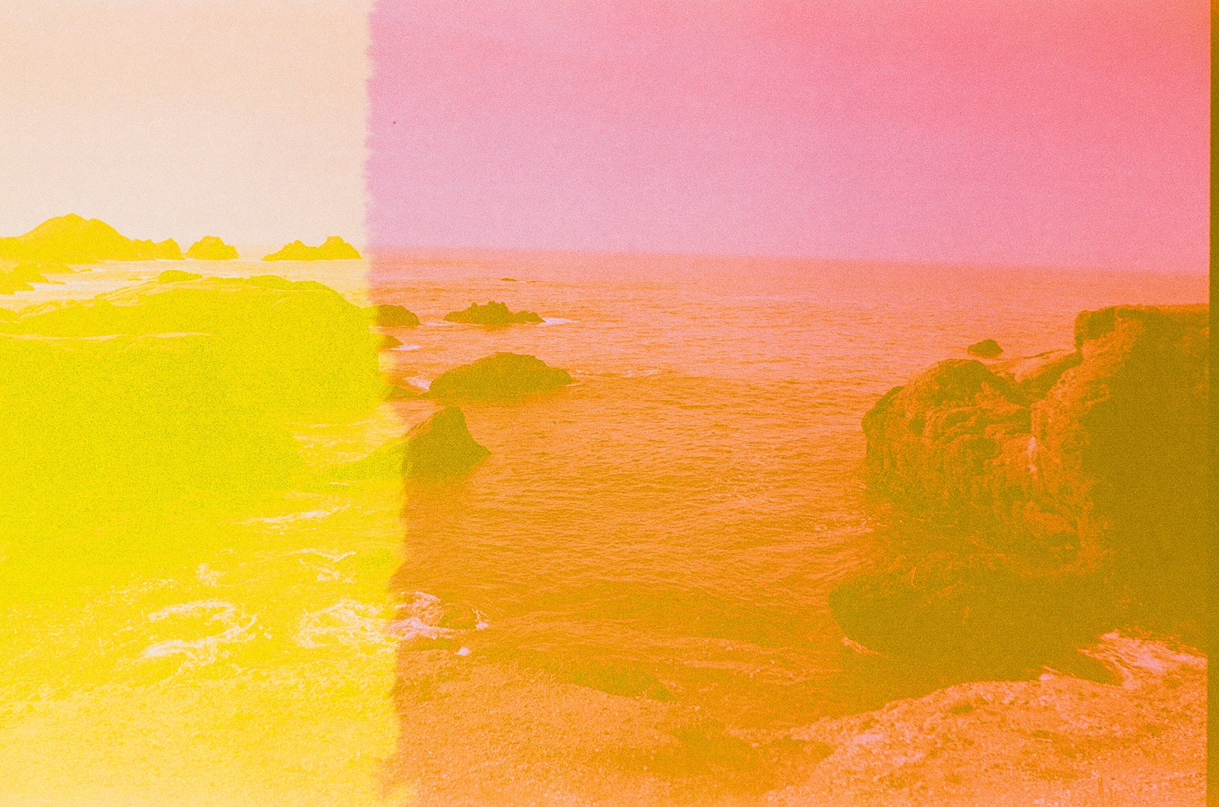 Pink Lobos, 35mm