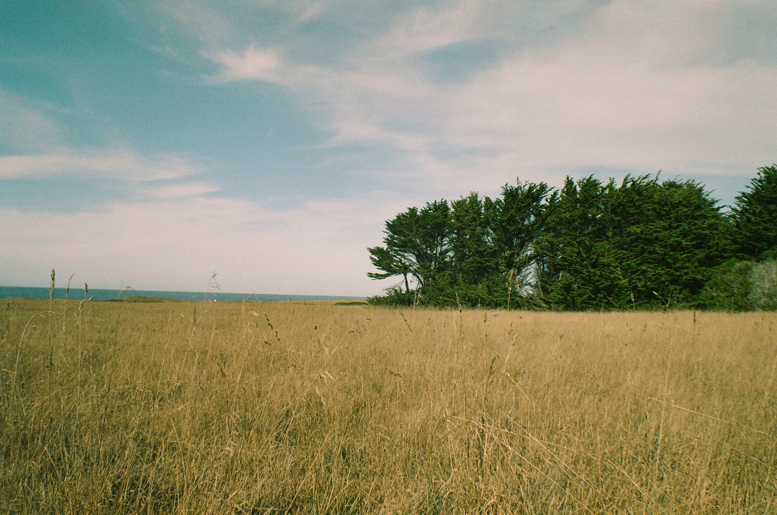 Mendocino, 35mm