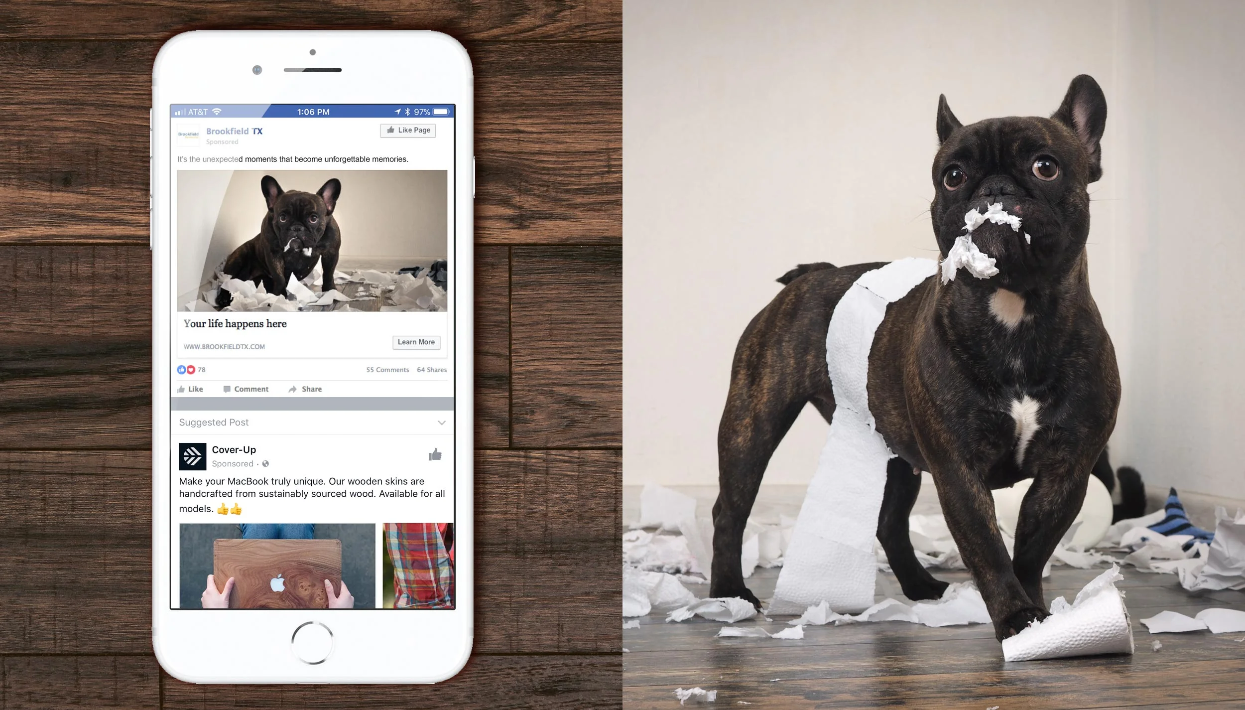bf_ylhh_fb_dog_mock.jpg