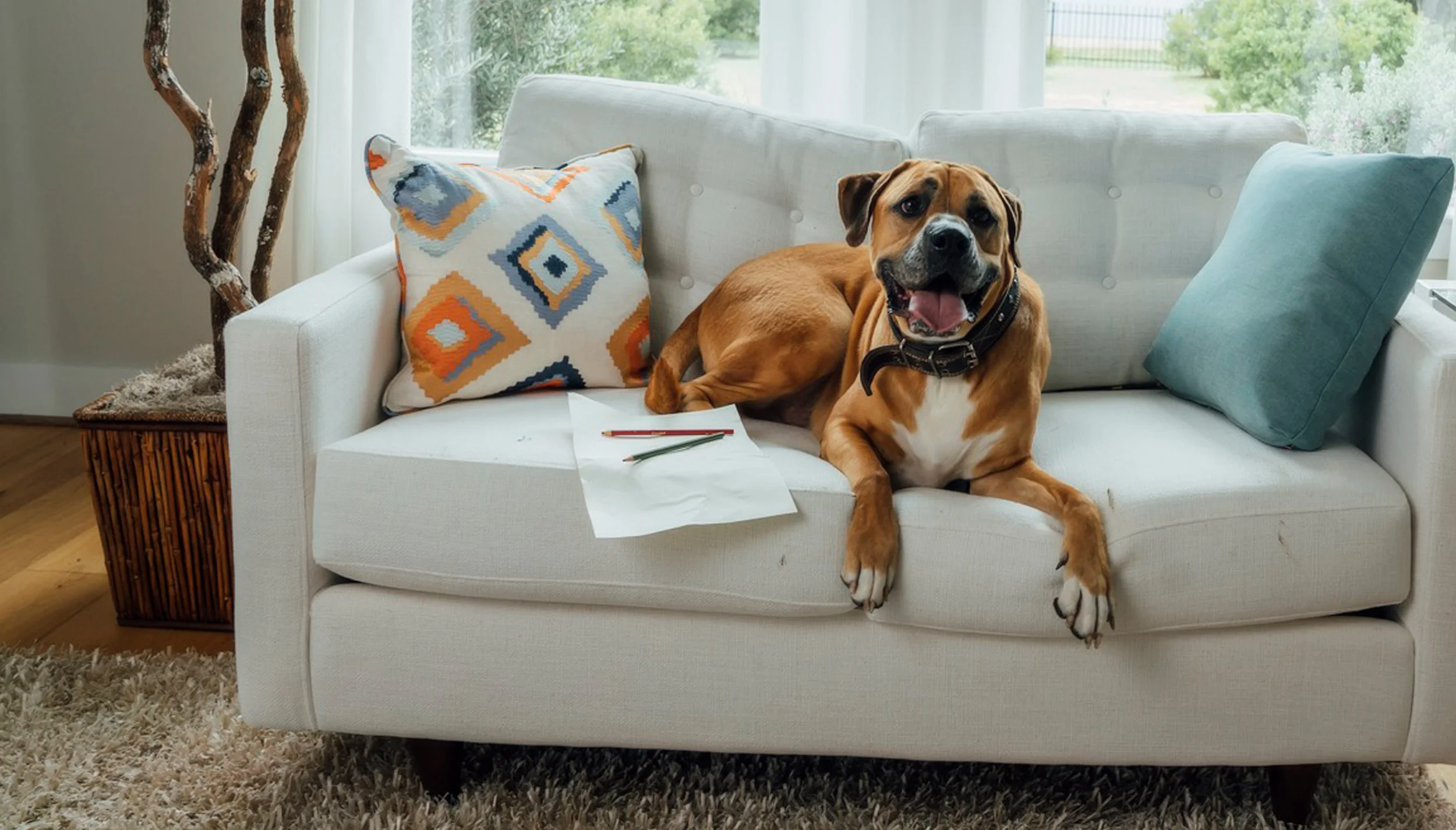 bf_drawn_home_atticus_photo.jpg