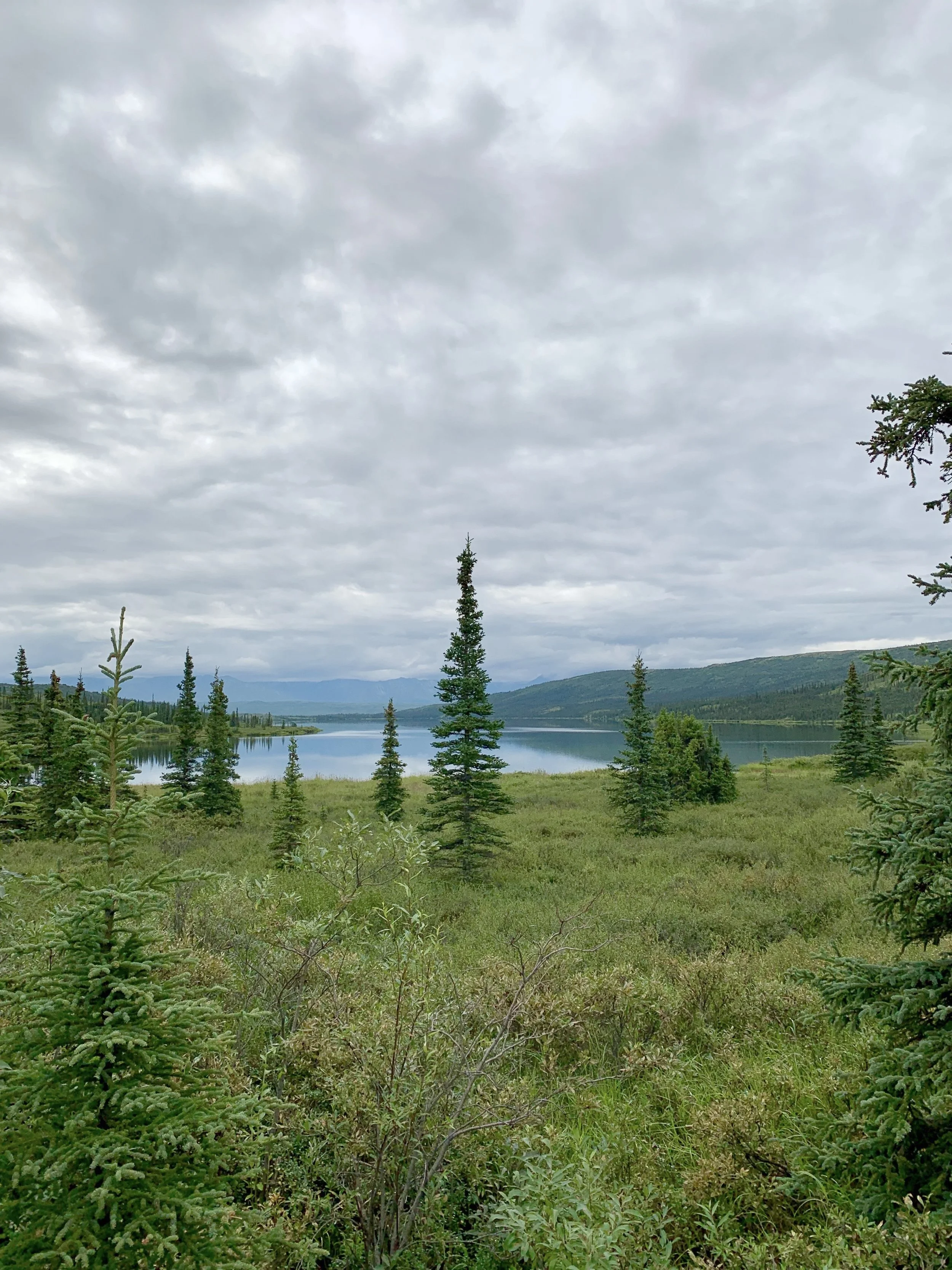 Denali National Park