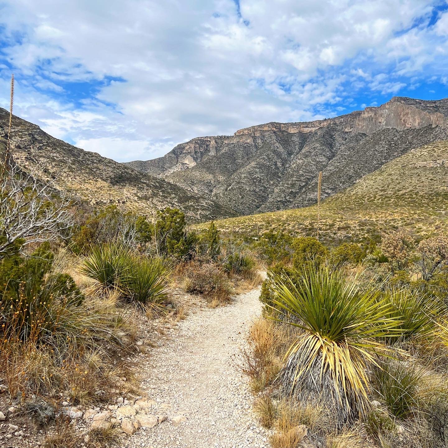 Guadalupe Mountains National Park