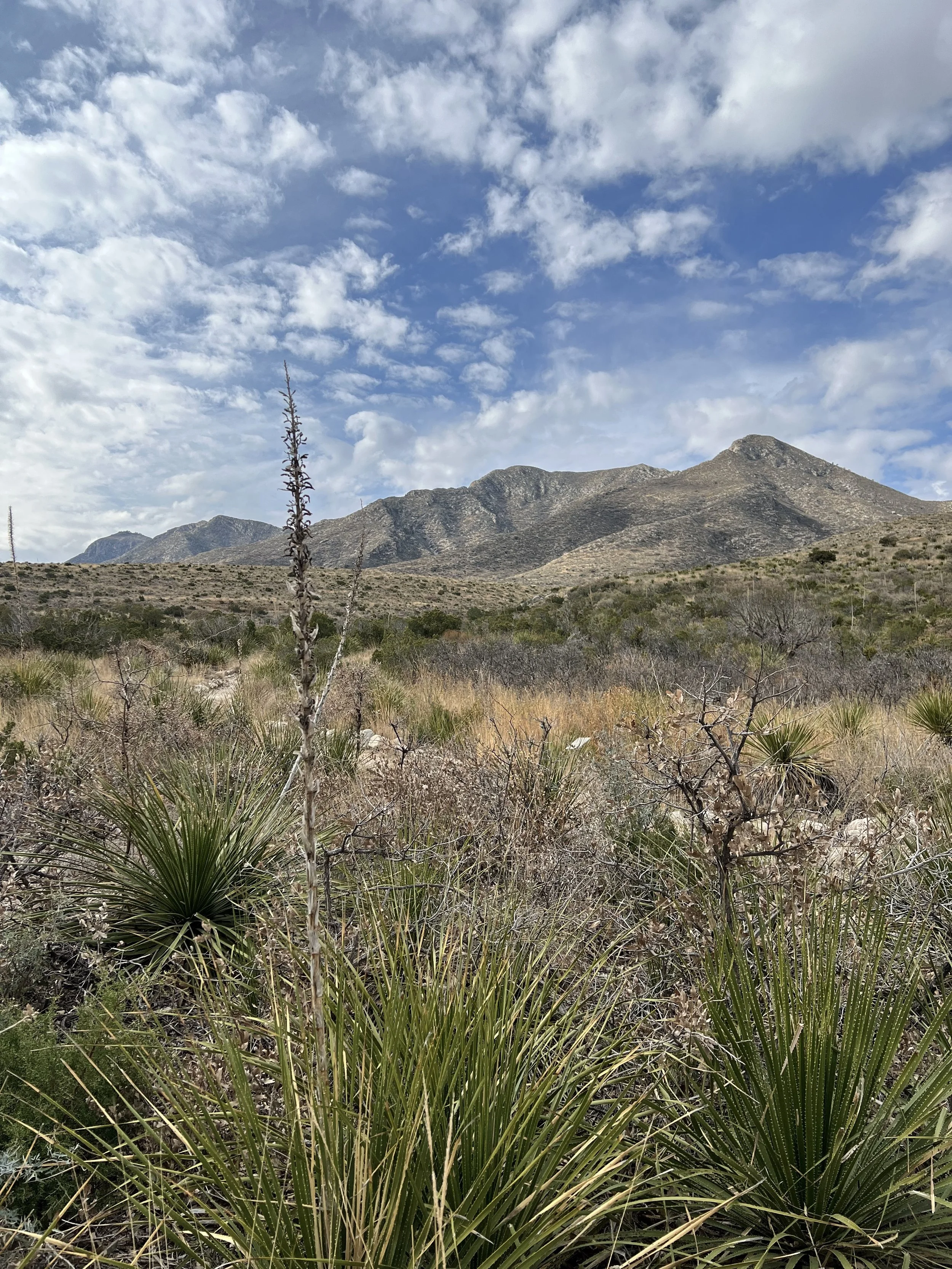 Guadalupe Mountains National Park