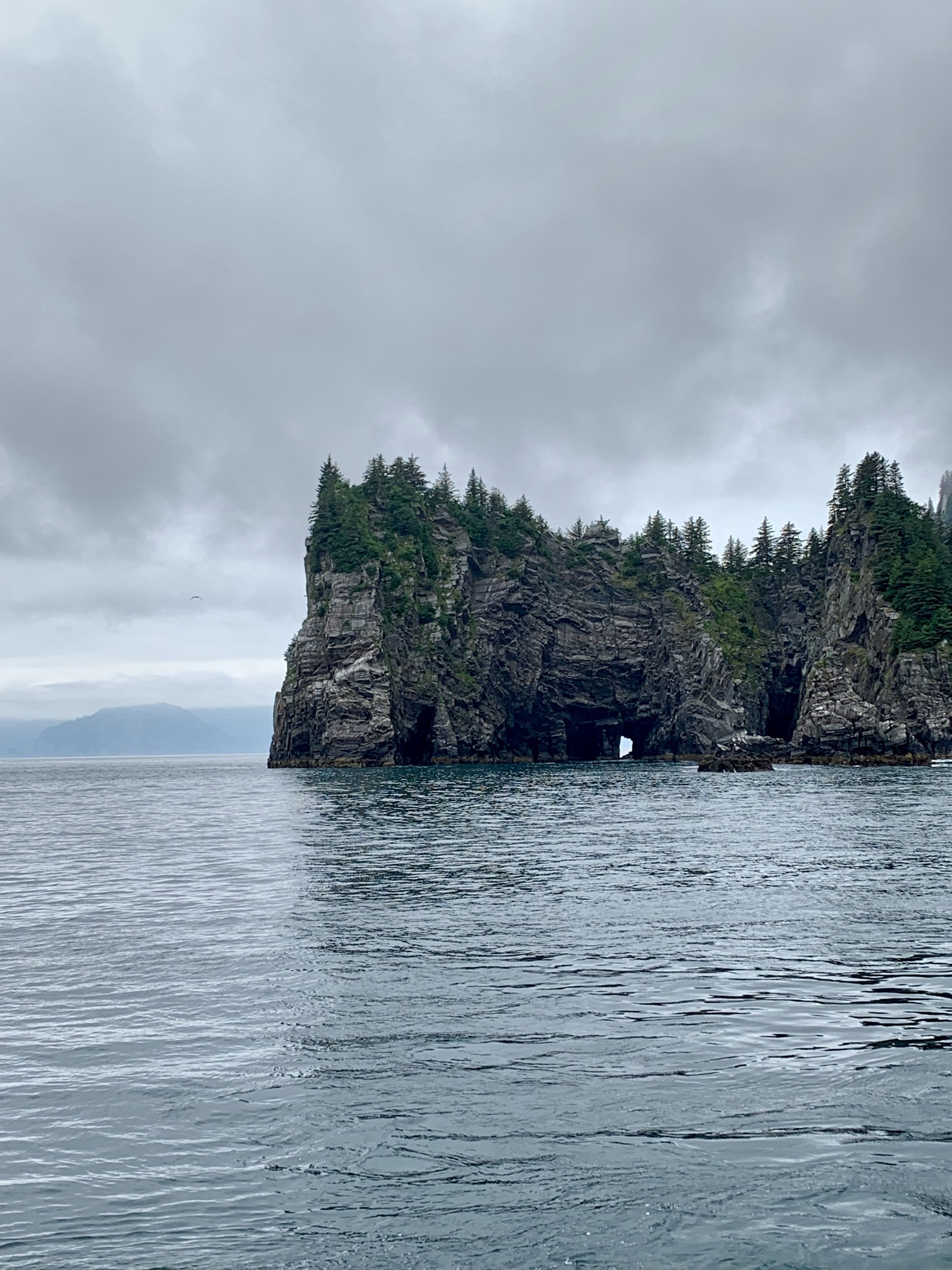 Kenai Fjords National Park