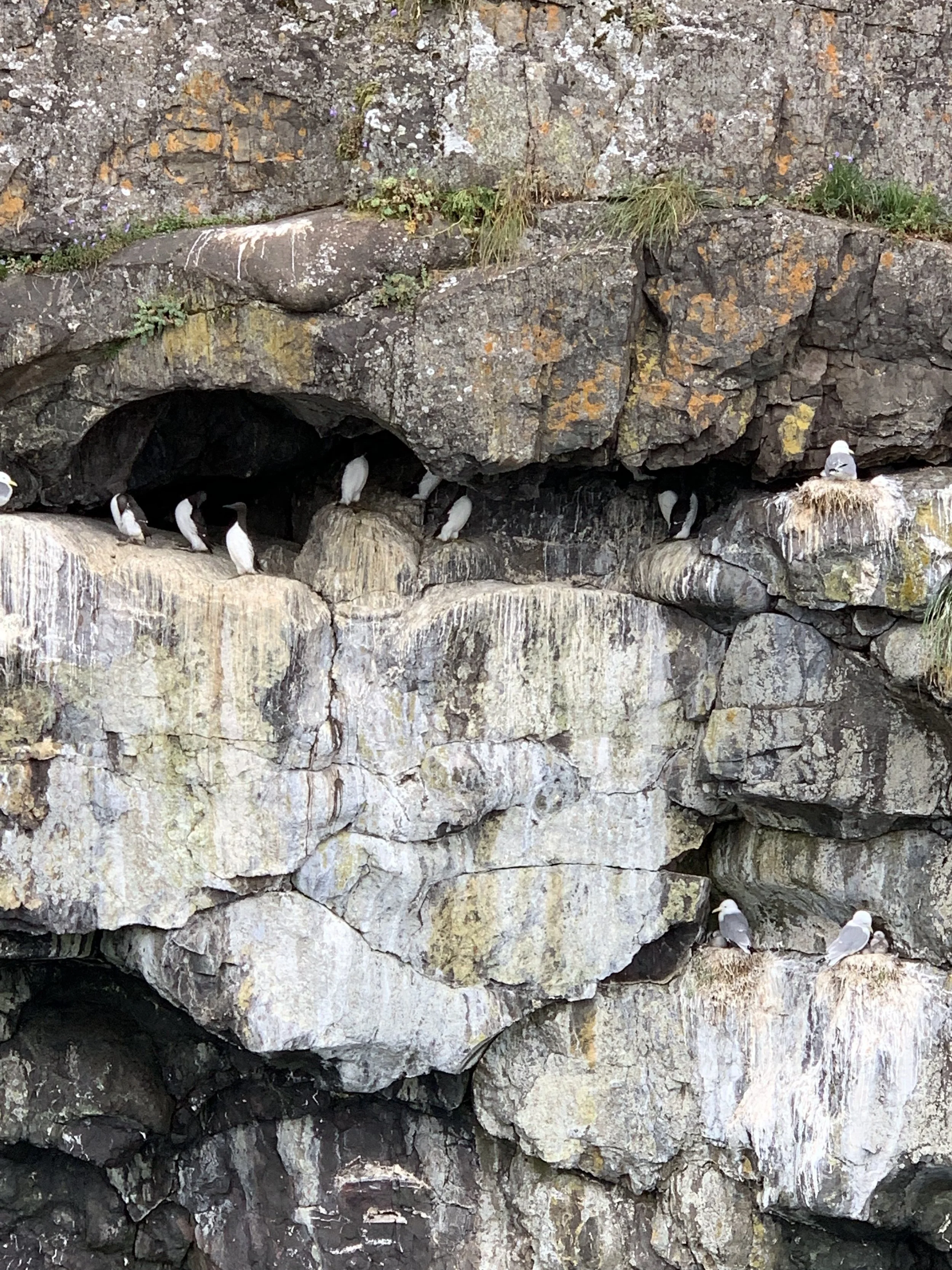 Kenai Fjords National Park
