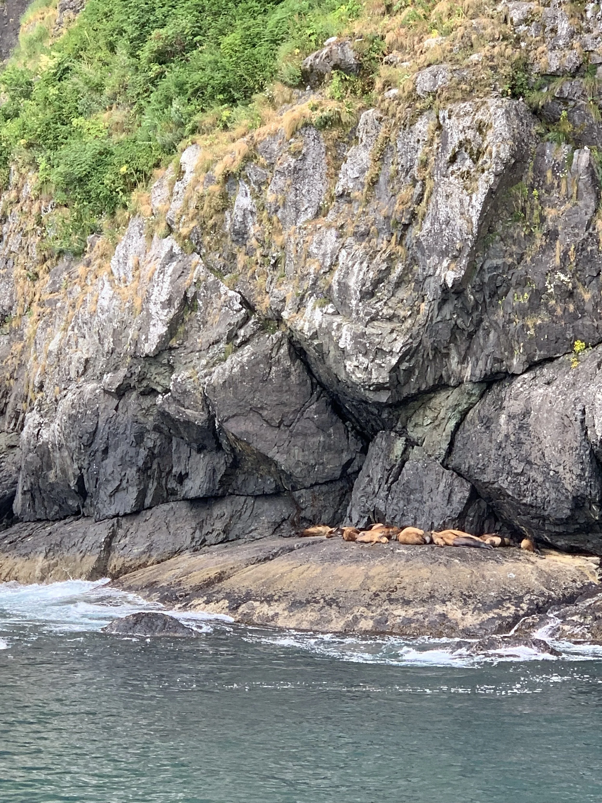 Kenai Fjords National Park