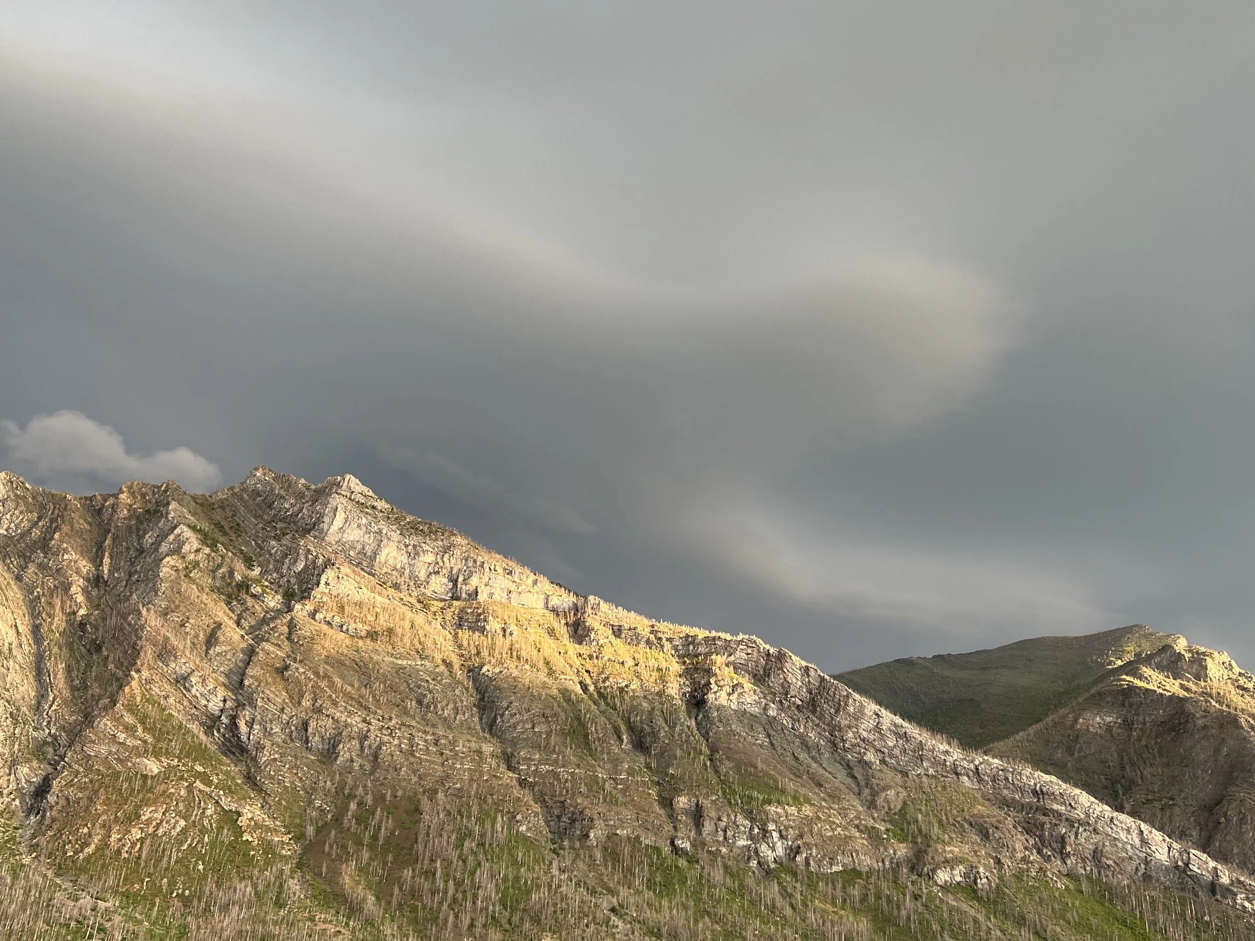 Theodore Roosevelt National Park