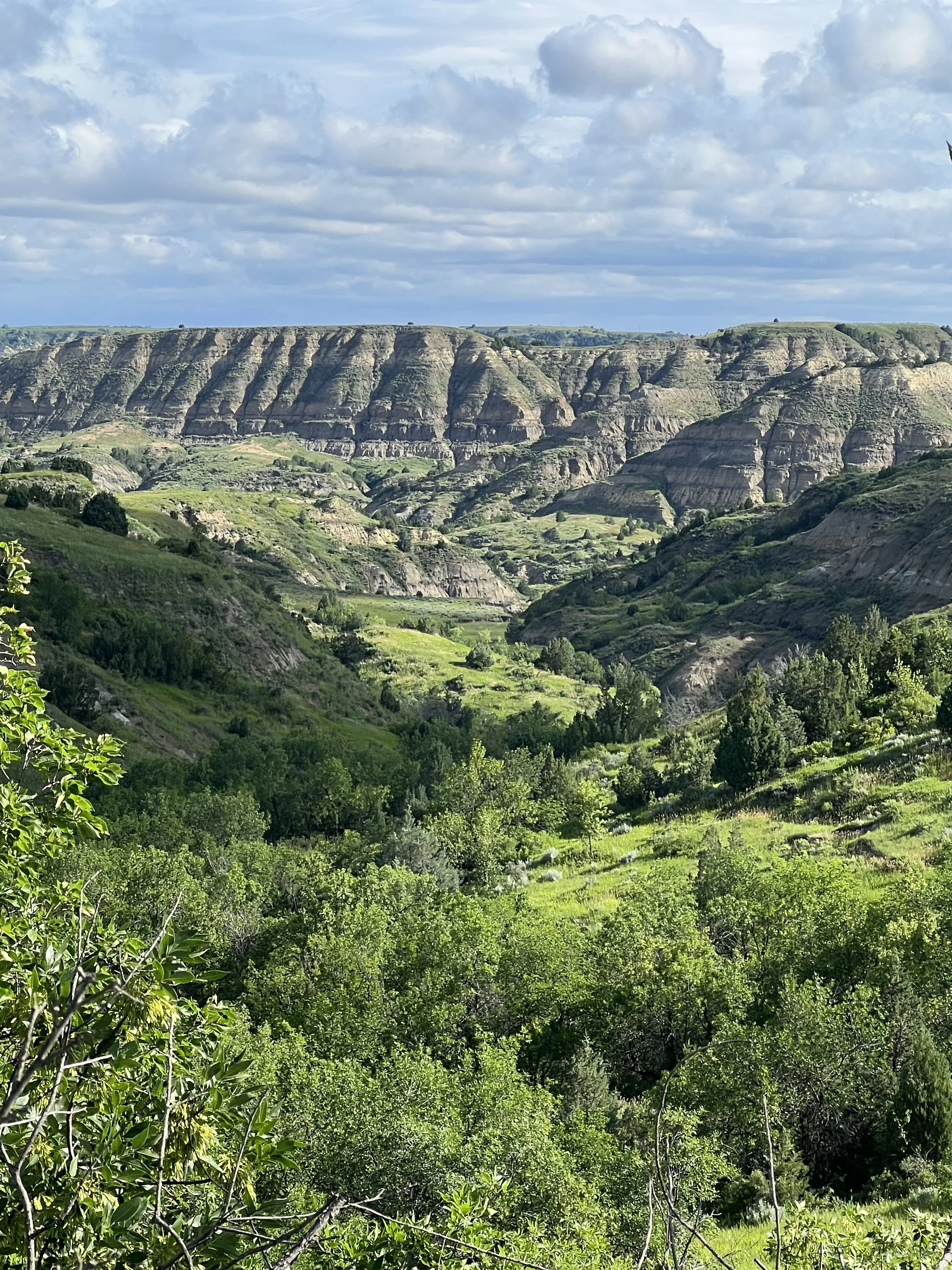Theodore Roosevelt National Park