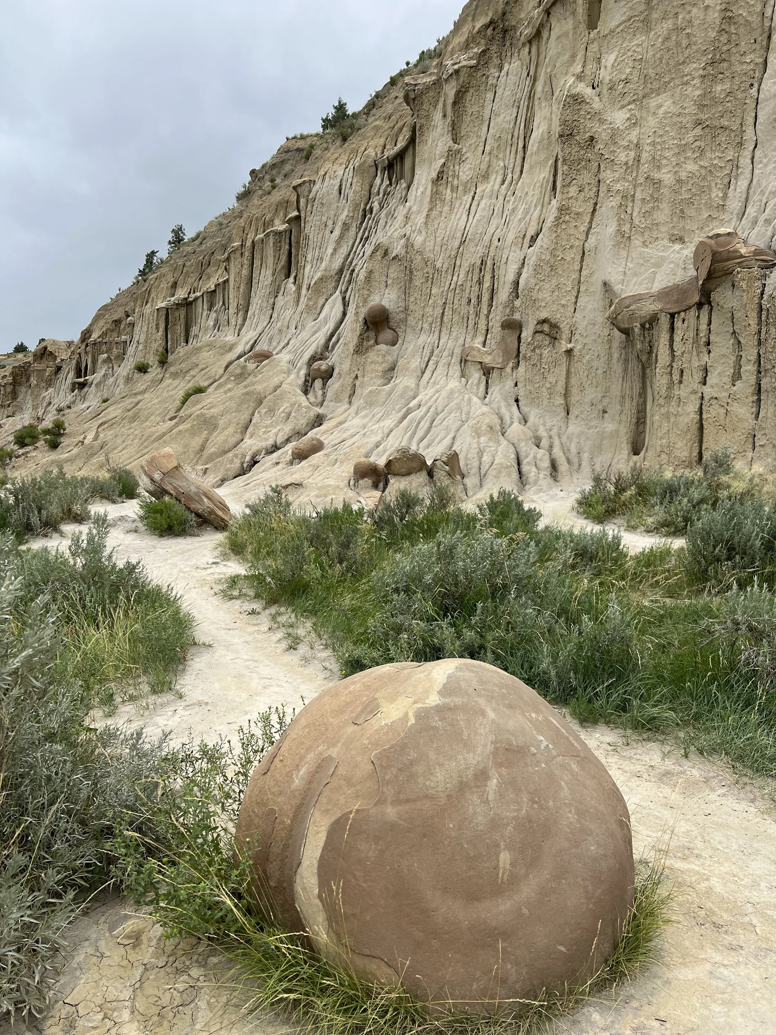 Theodore Roosevelt National Park