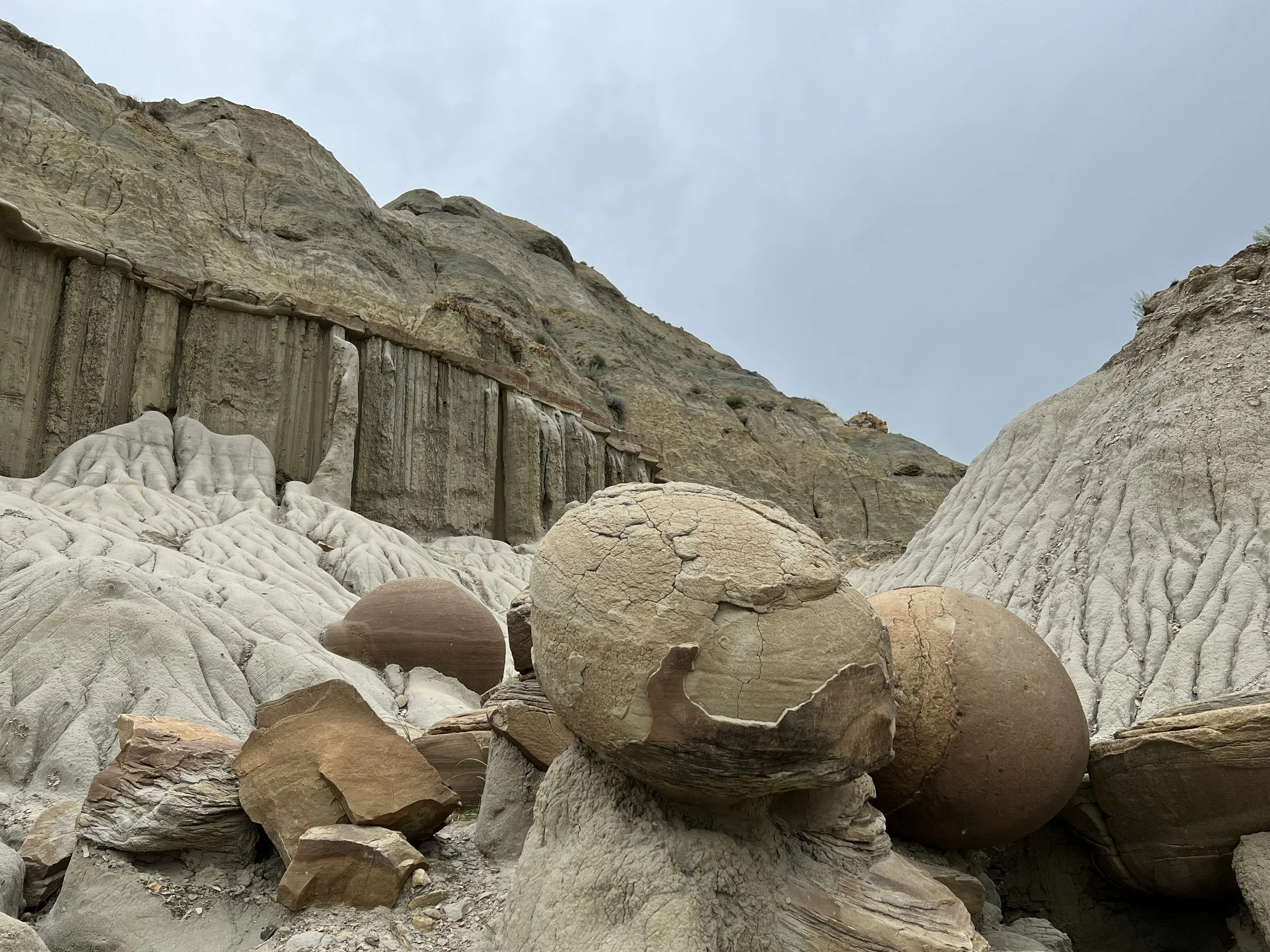Theodore Roosevelt National Park