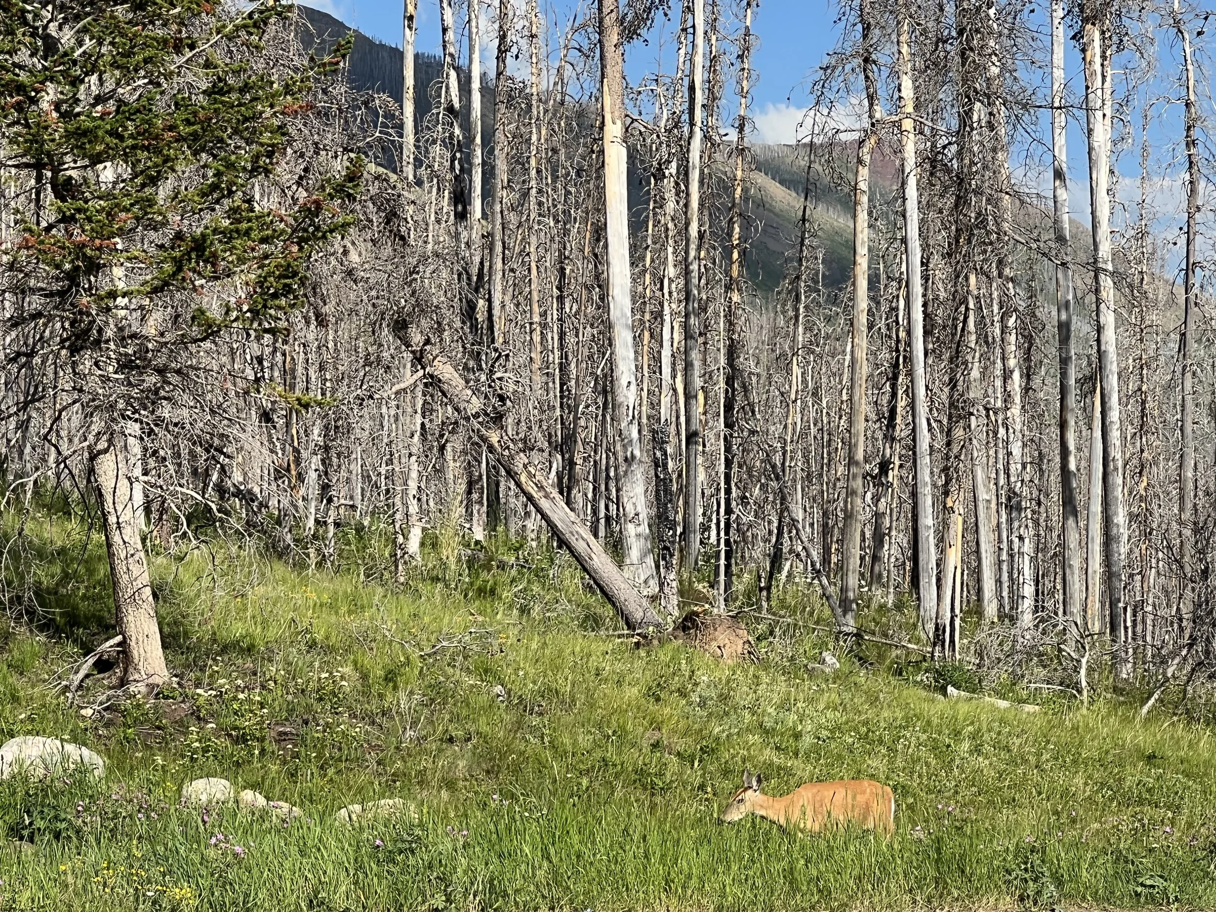 Waterton National Park