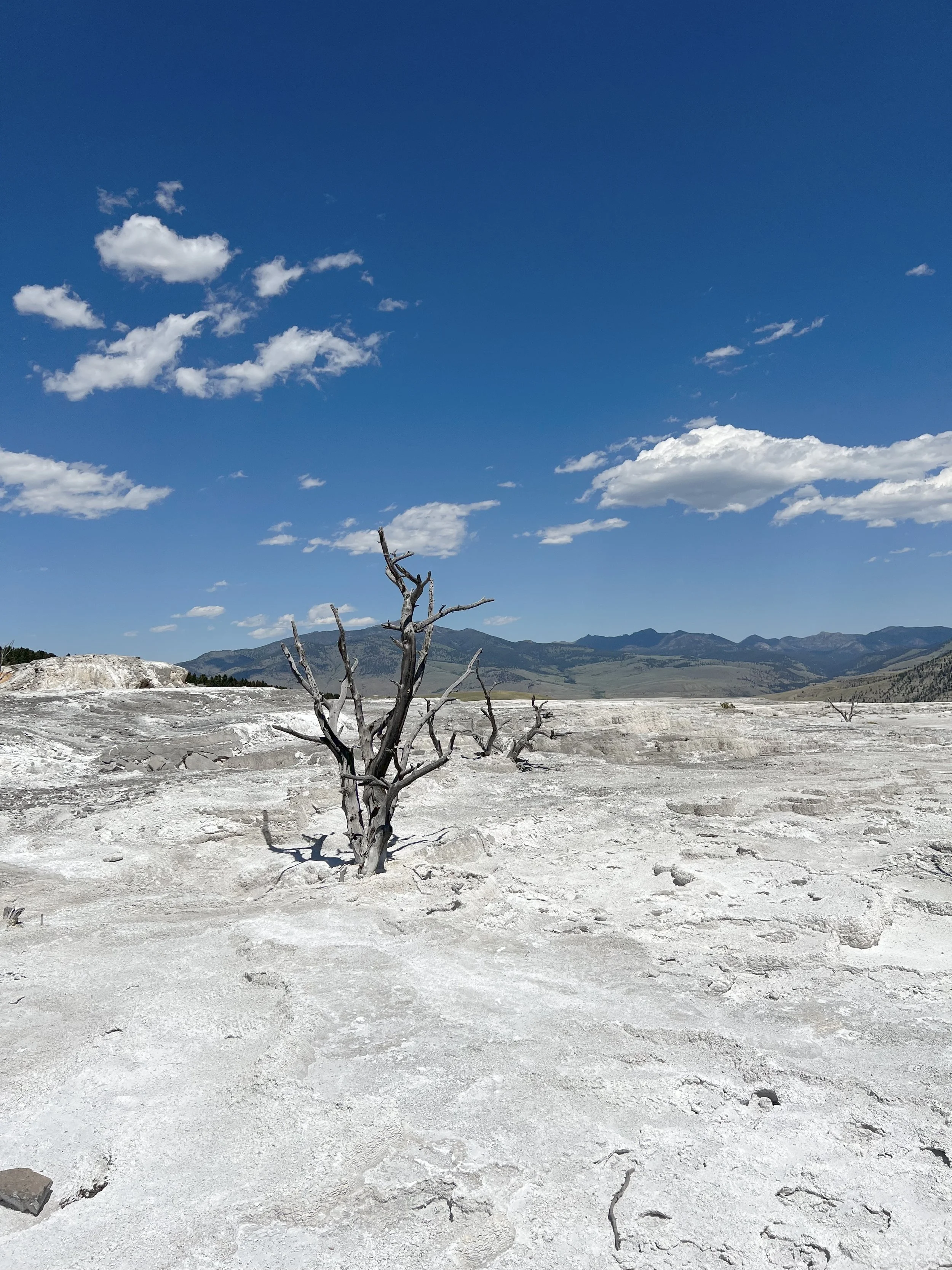 Yellowstone National Park