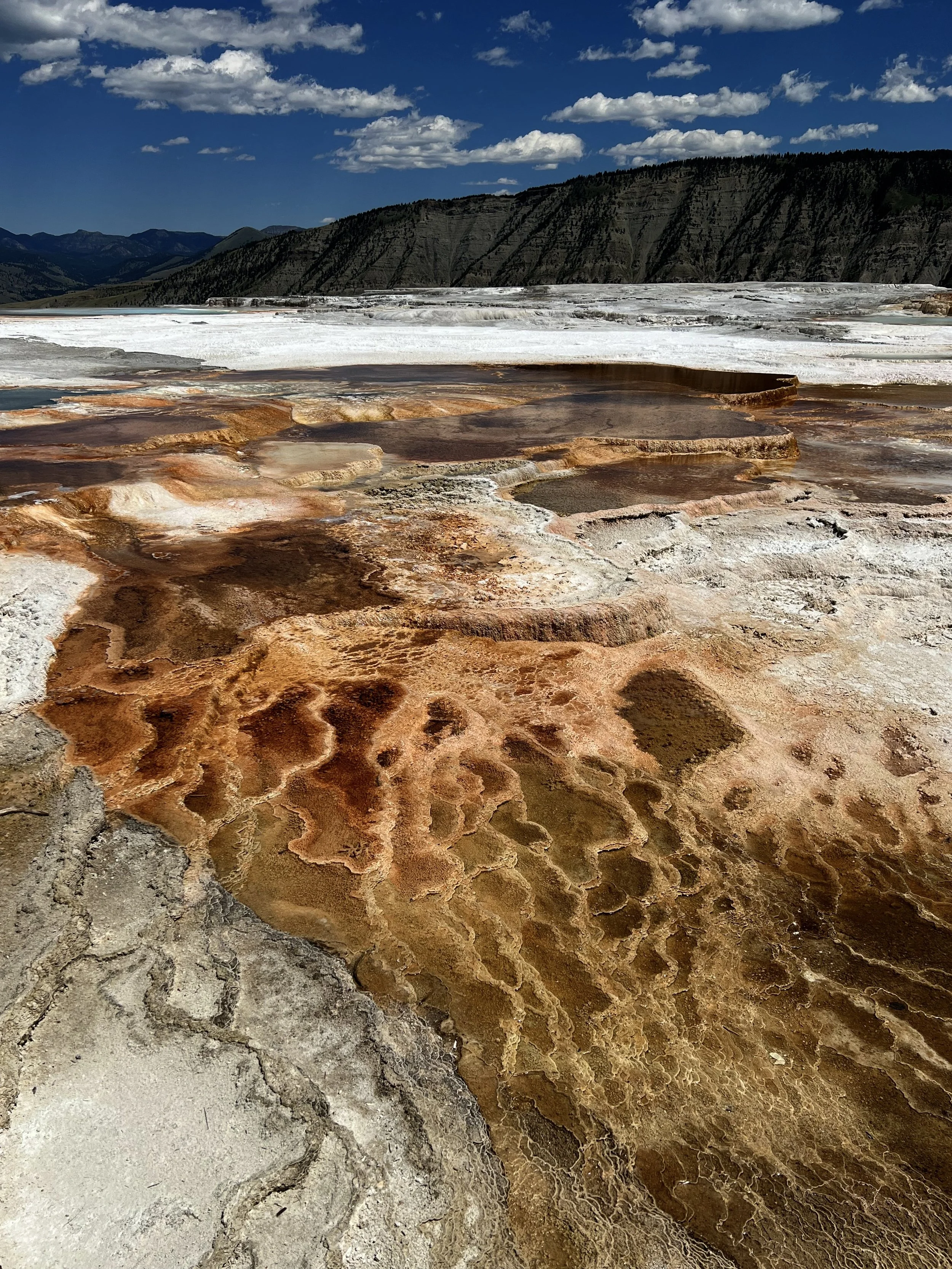Yellowstone National Park
