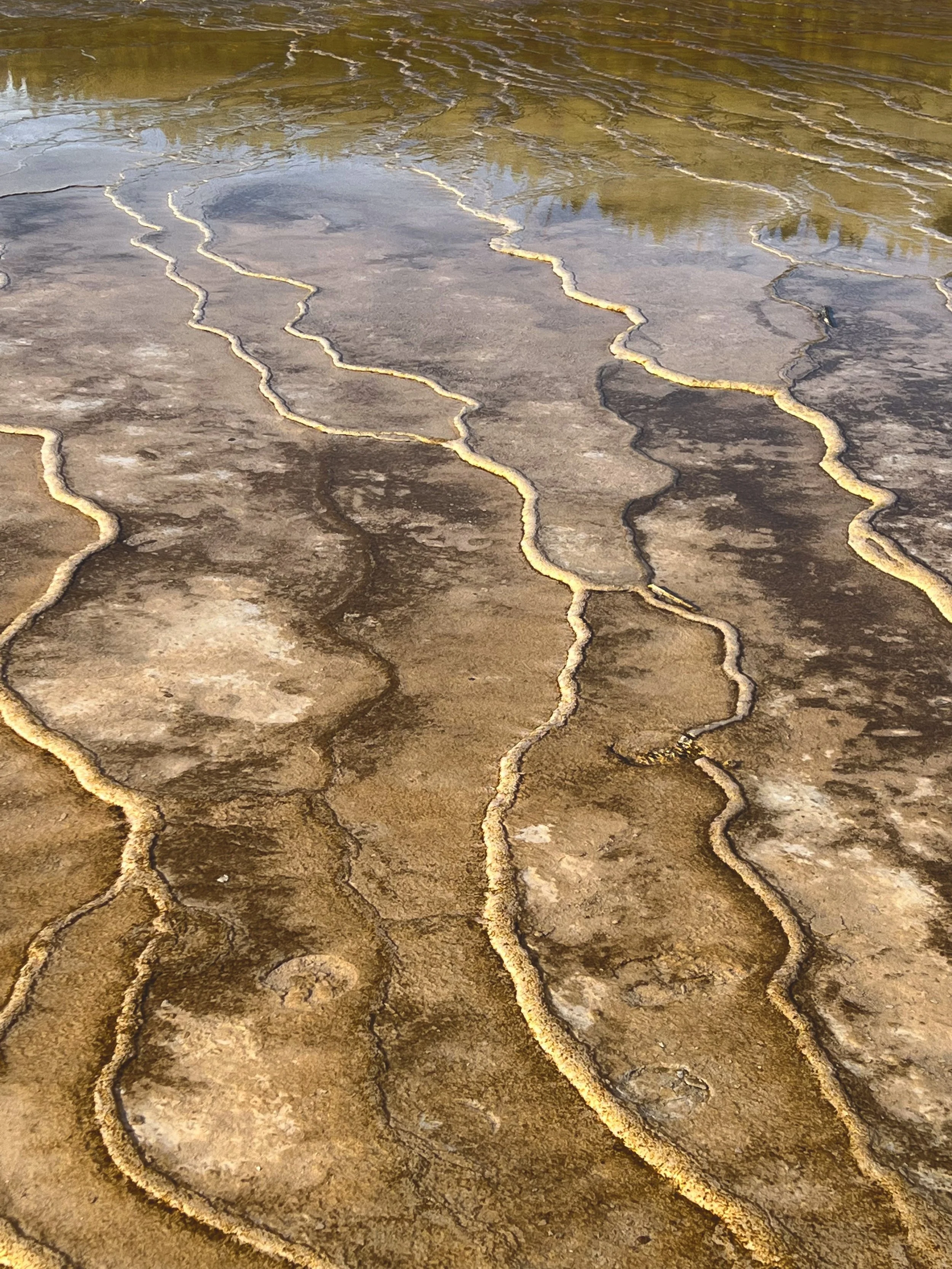 Yellowstone National Park