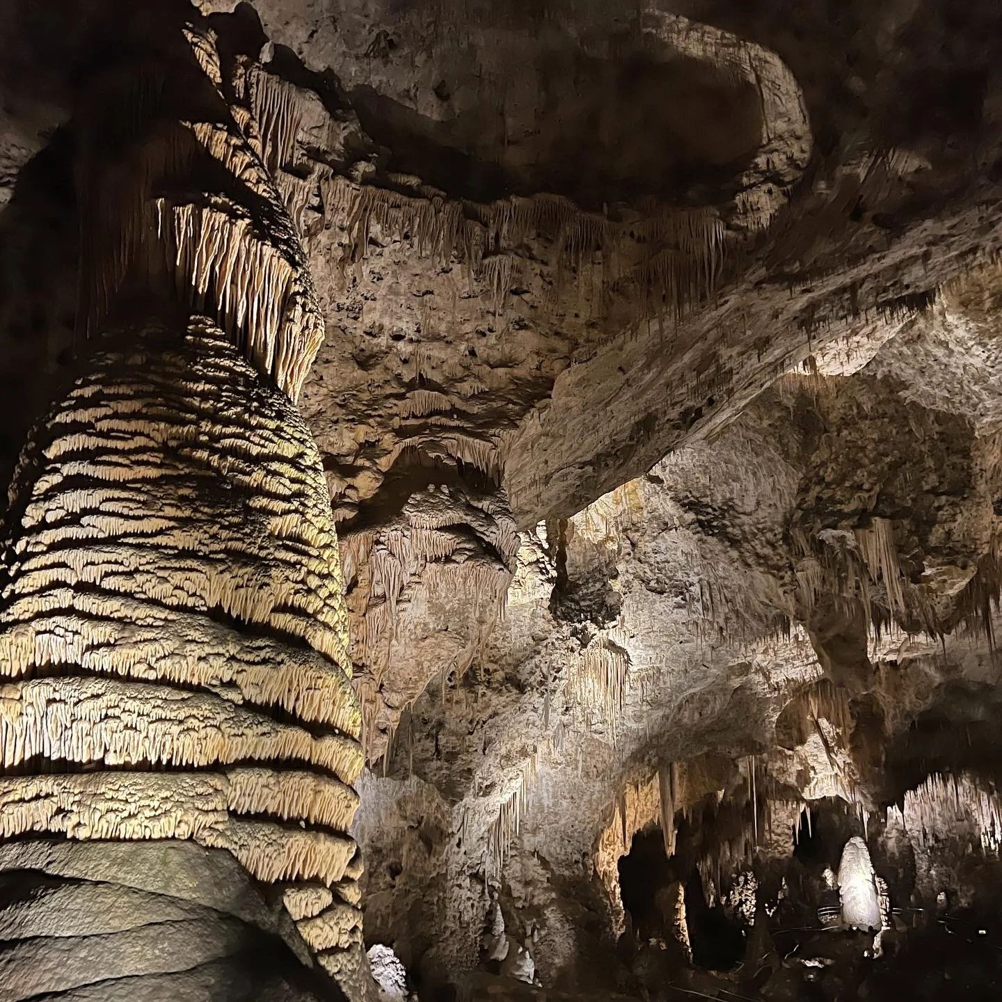 Carlsbad Caverns National Park