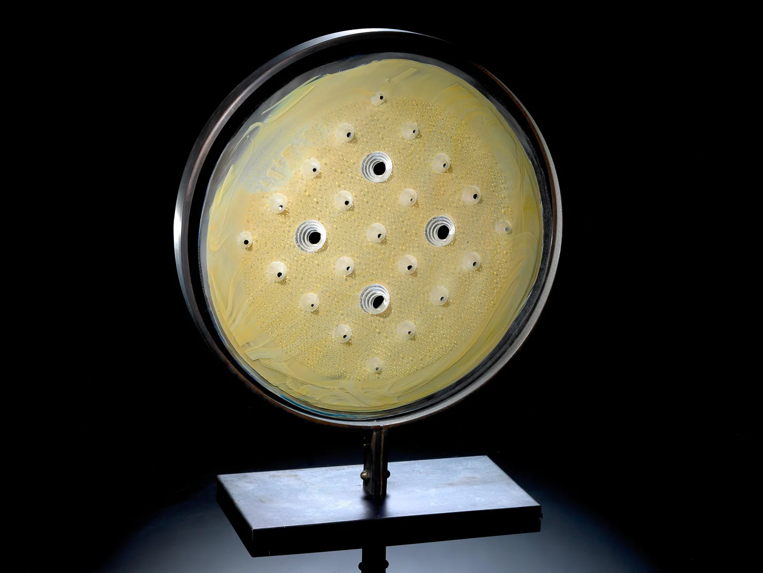 Weinberg-26225 Cone B_WEB.jpg