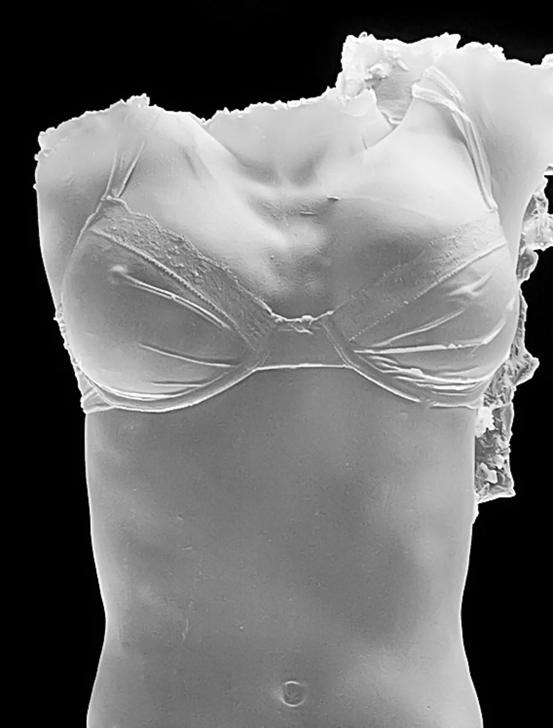 Archive_8157-Edit_WEB.jpg
