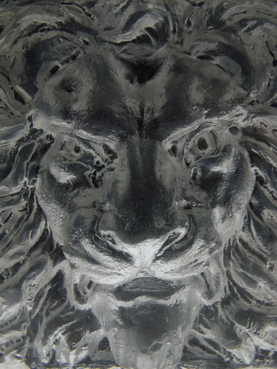 Lion Head Face Detail