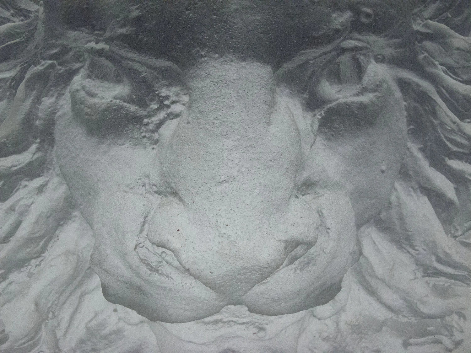 Positive Lion Head