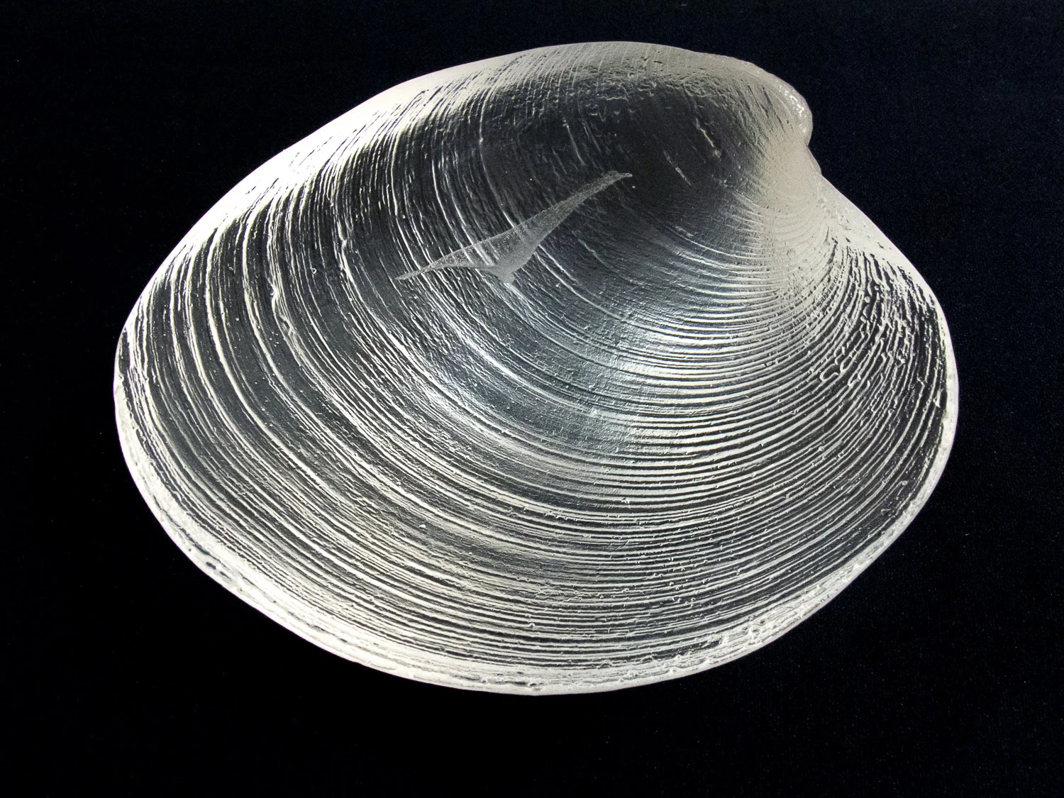 Polished Bottom
