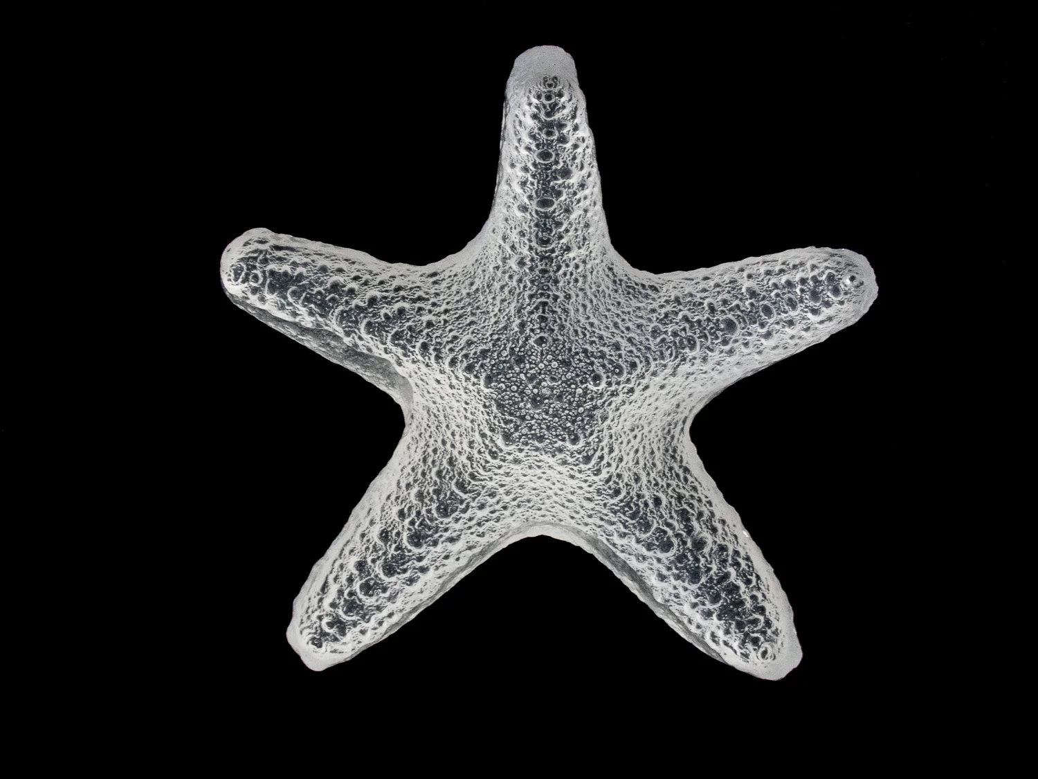 Crystal Starfish