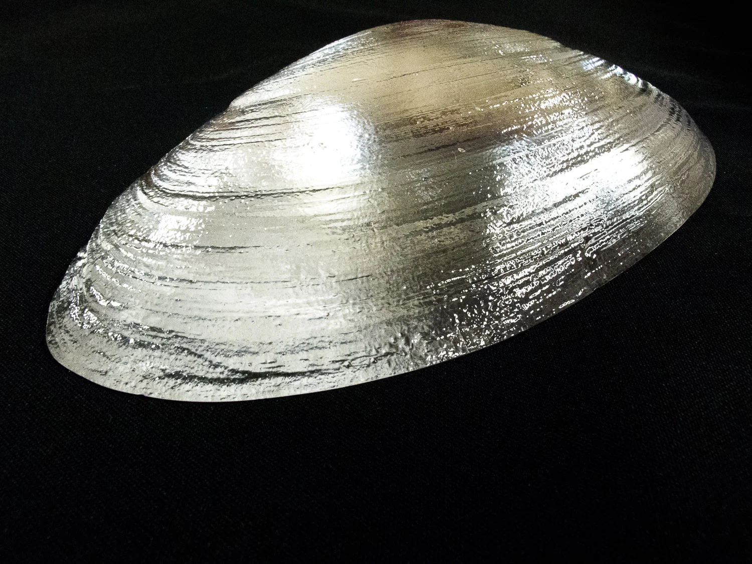 Top View