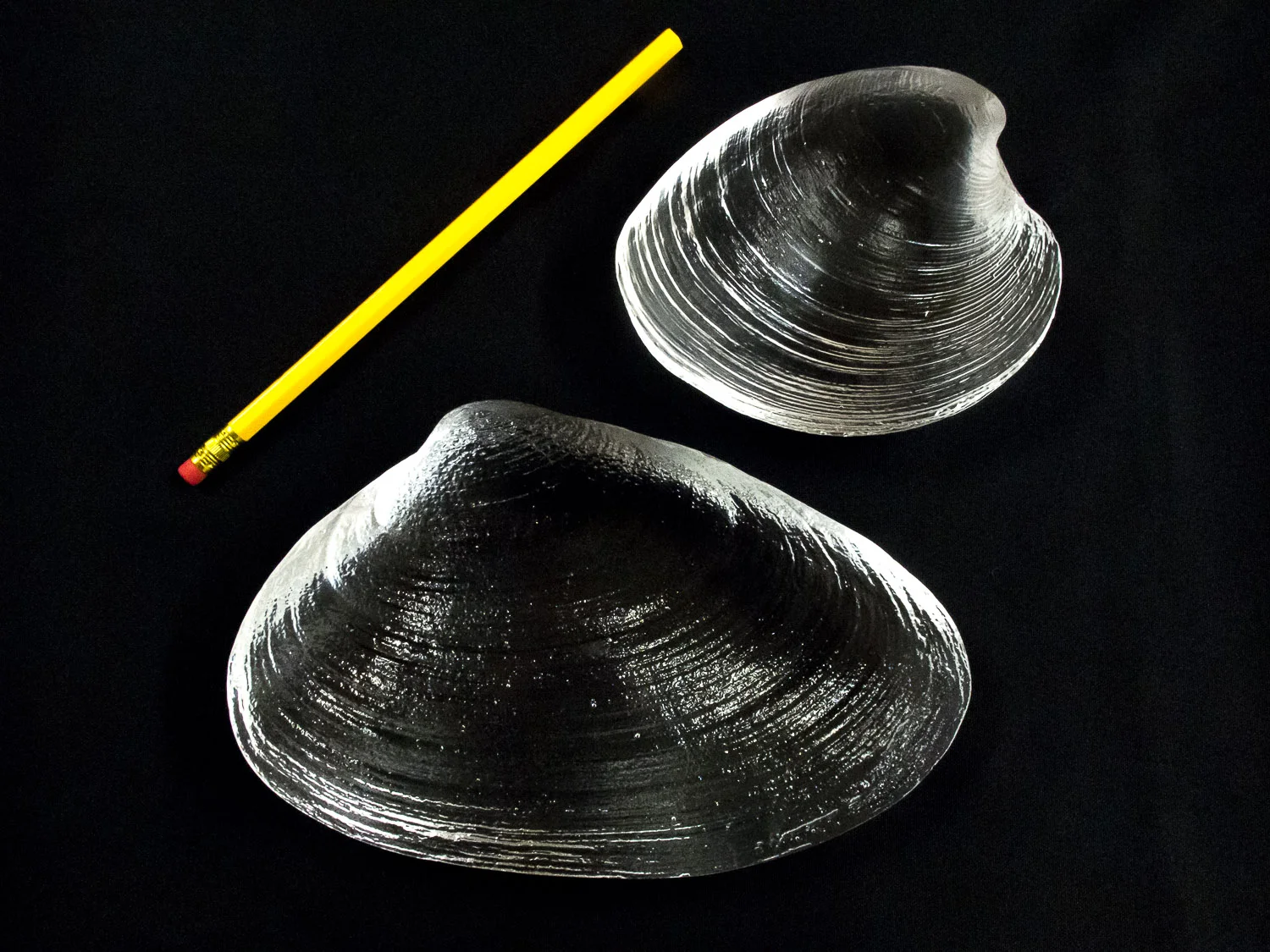 Size Comparison