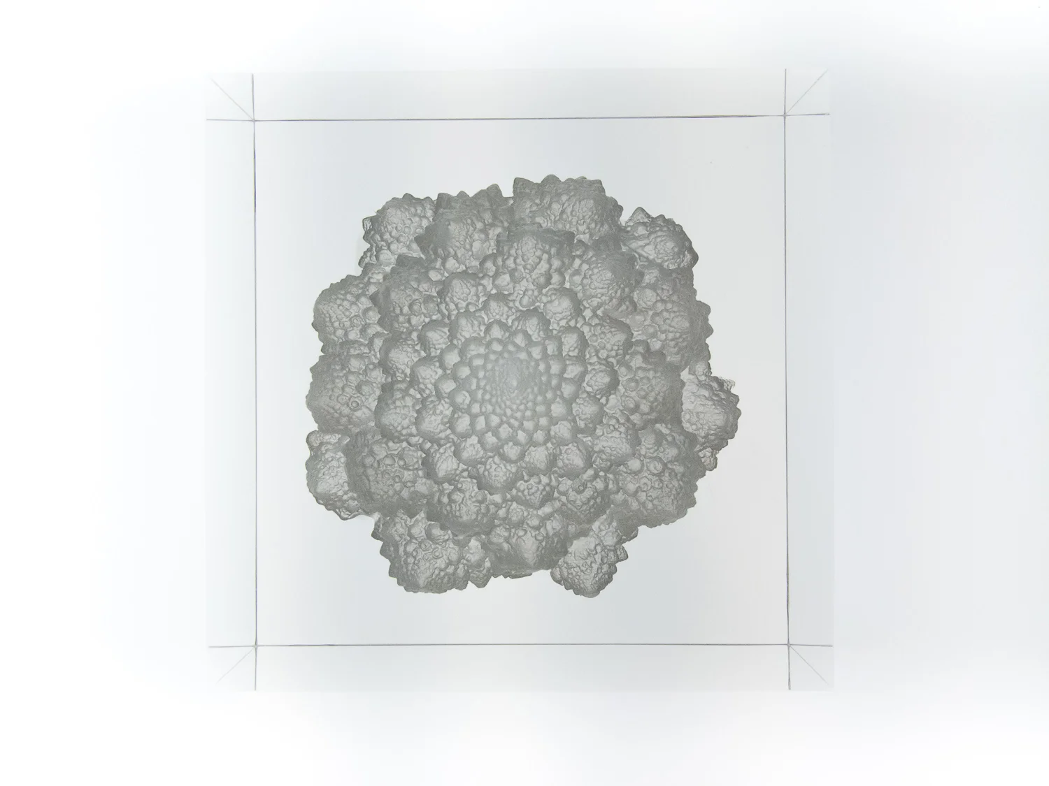 Top View