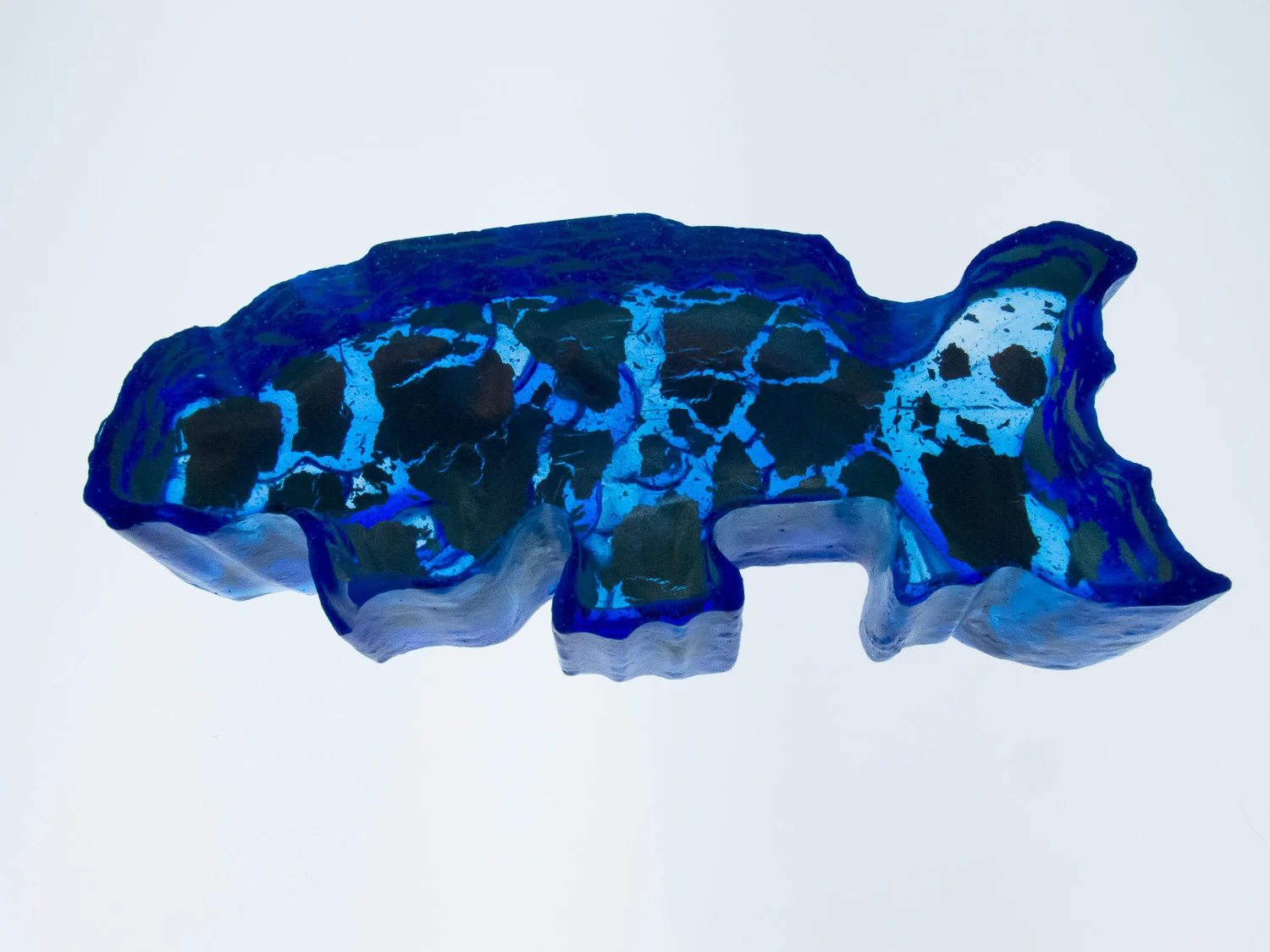 ChineseFish_012_WEB.jpg