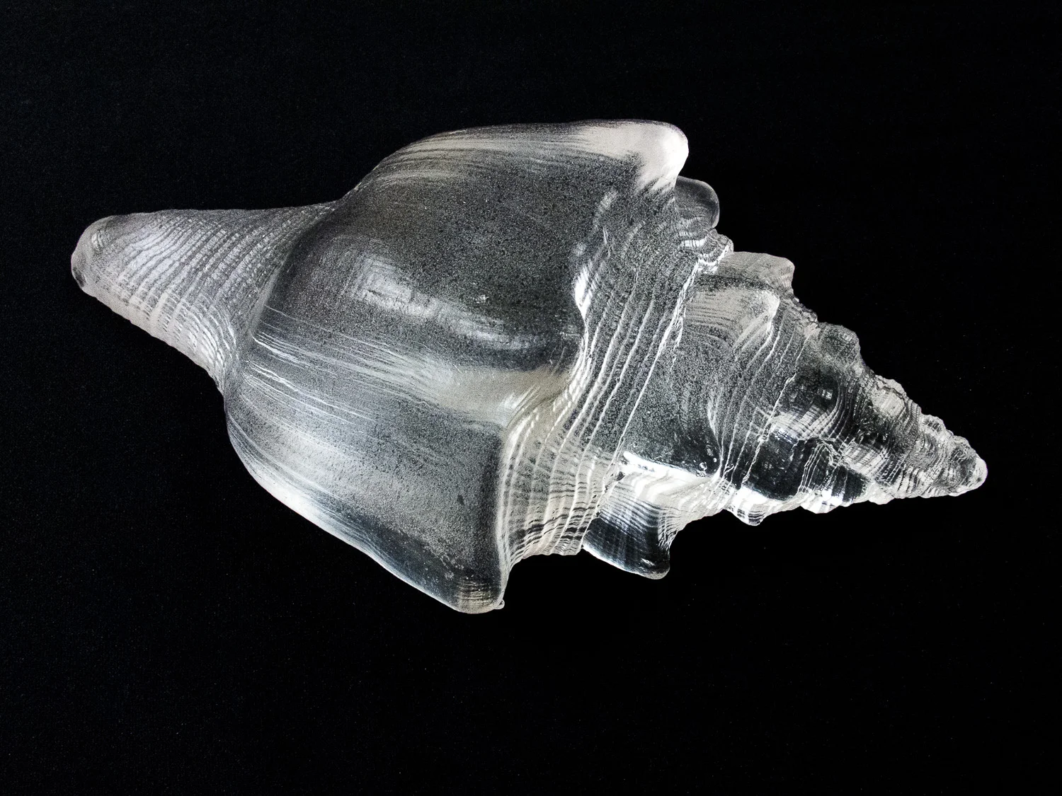 Shells_063_WEB-2.jpg