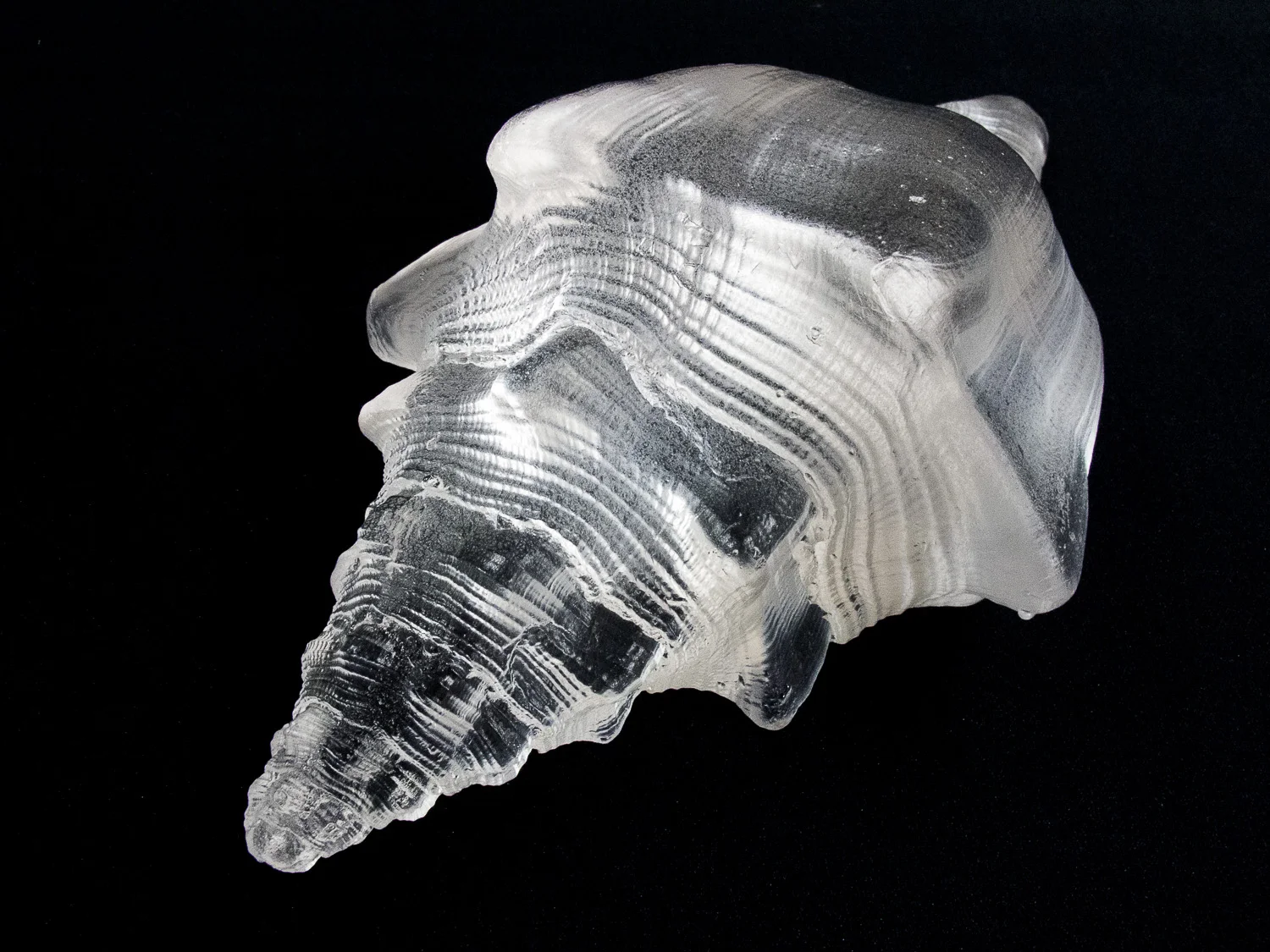 Shells_065_WEB.jpg