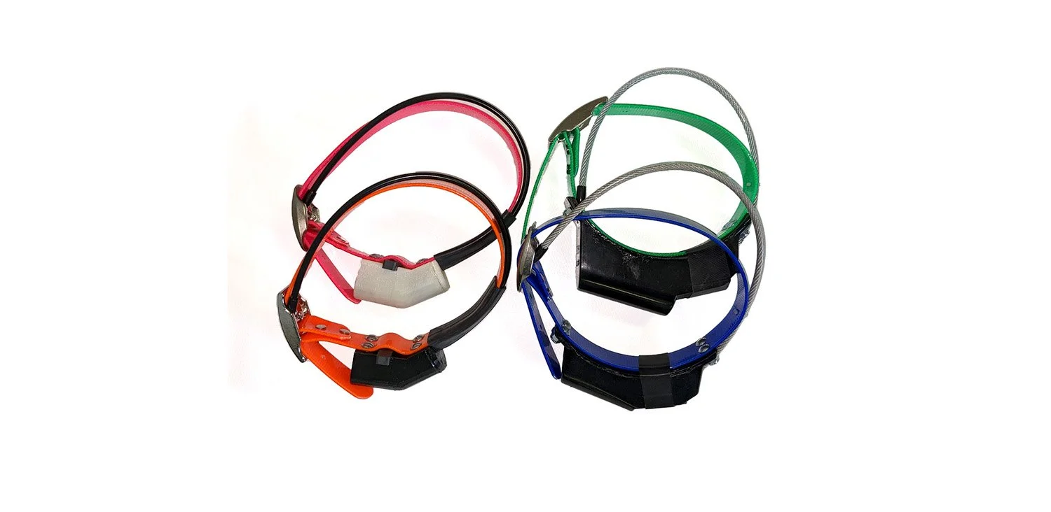 dog tracking collars banner.jpg