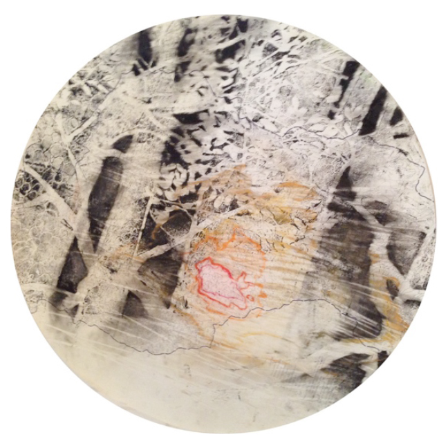 Rim Fire 1