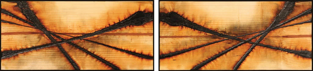 bpd48-2.jpg