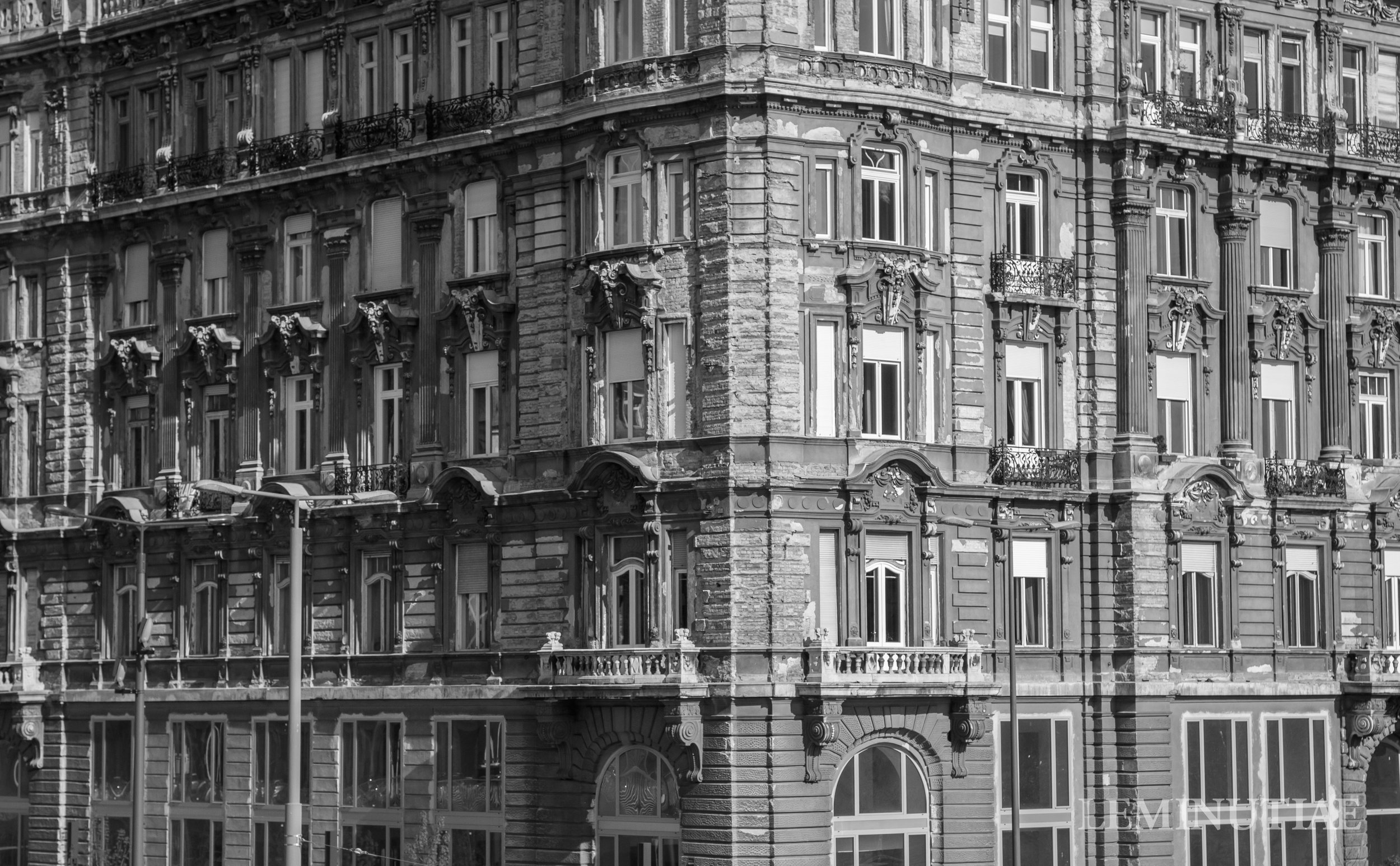 _MG_0703.jpg