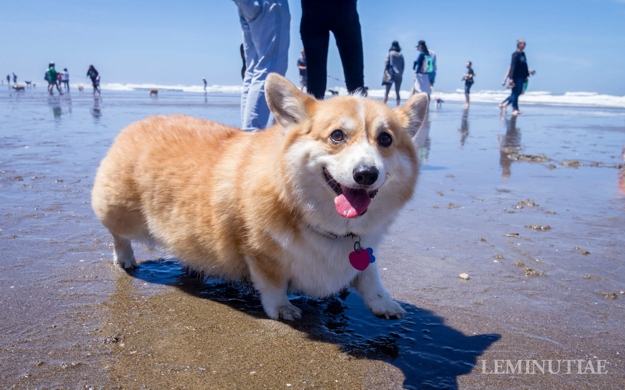 _MG_2183.jpg