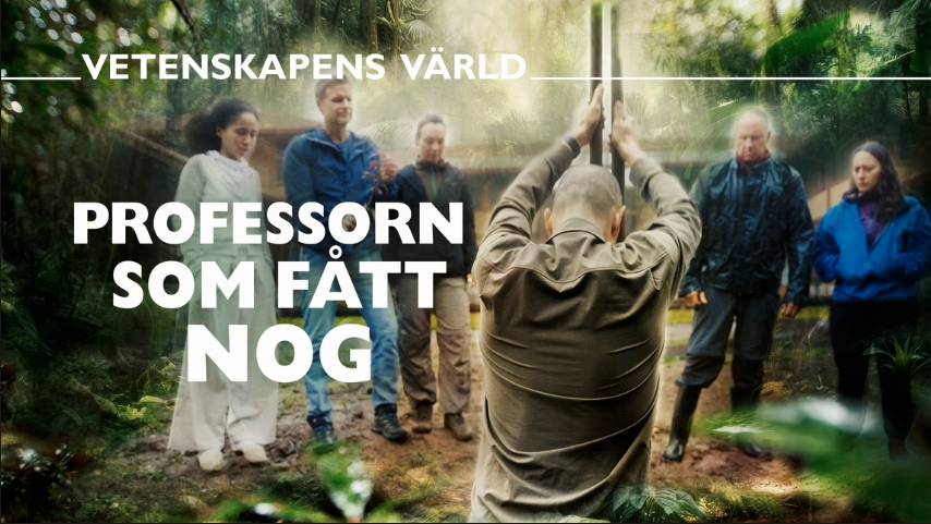 Professorn som fått nog, SVT.