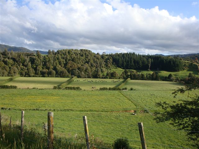 Paddocks in the lower part of the farm