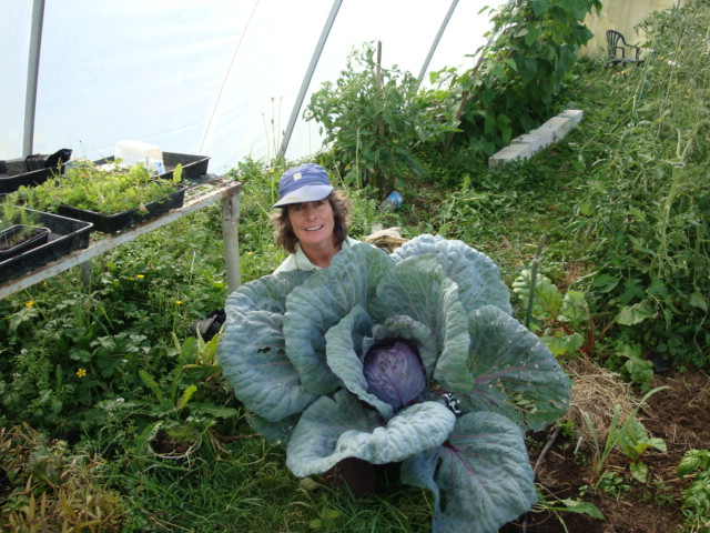 Jenny's organic produce