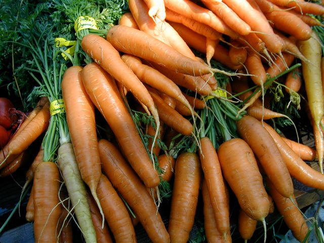 Organic carrots