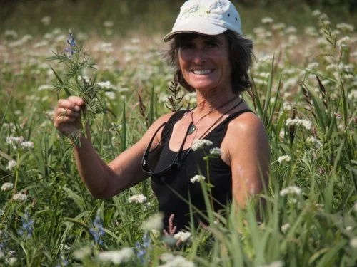 Jenny in the abundant pasture growth