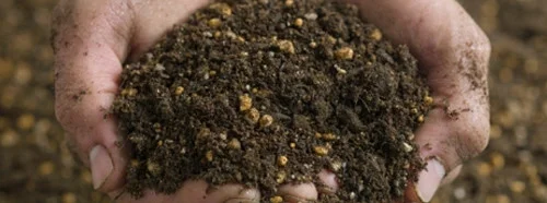 Hands full of organic compost