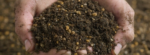 Hands full of organic compost