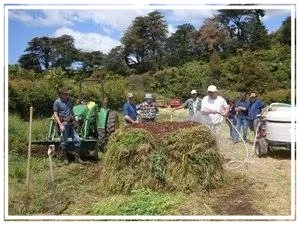 &nbsp; &nbsp; &nbsp; &nbsp;Creating a static compost pile at Chaos Springs