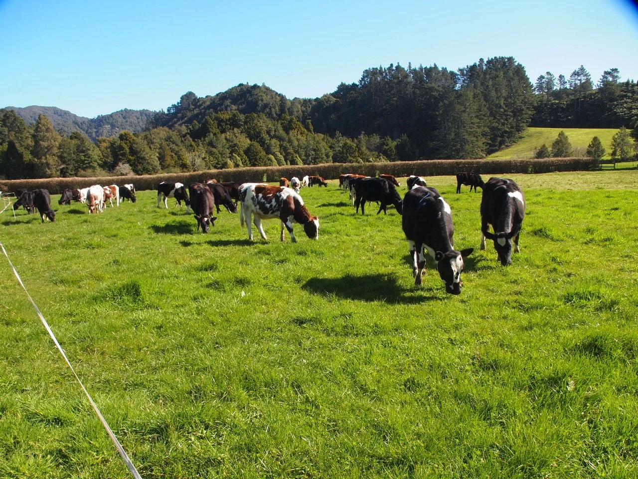 Creating On-Farm Fertility