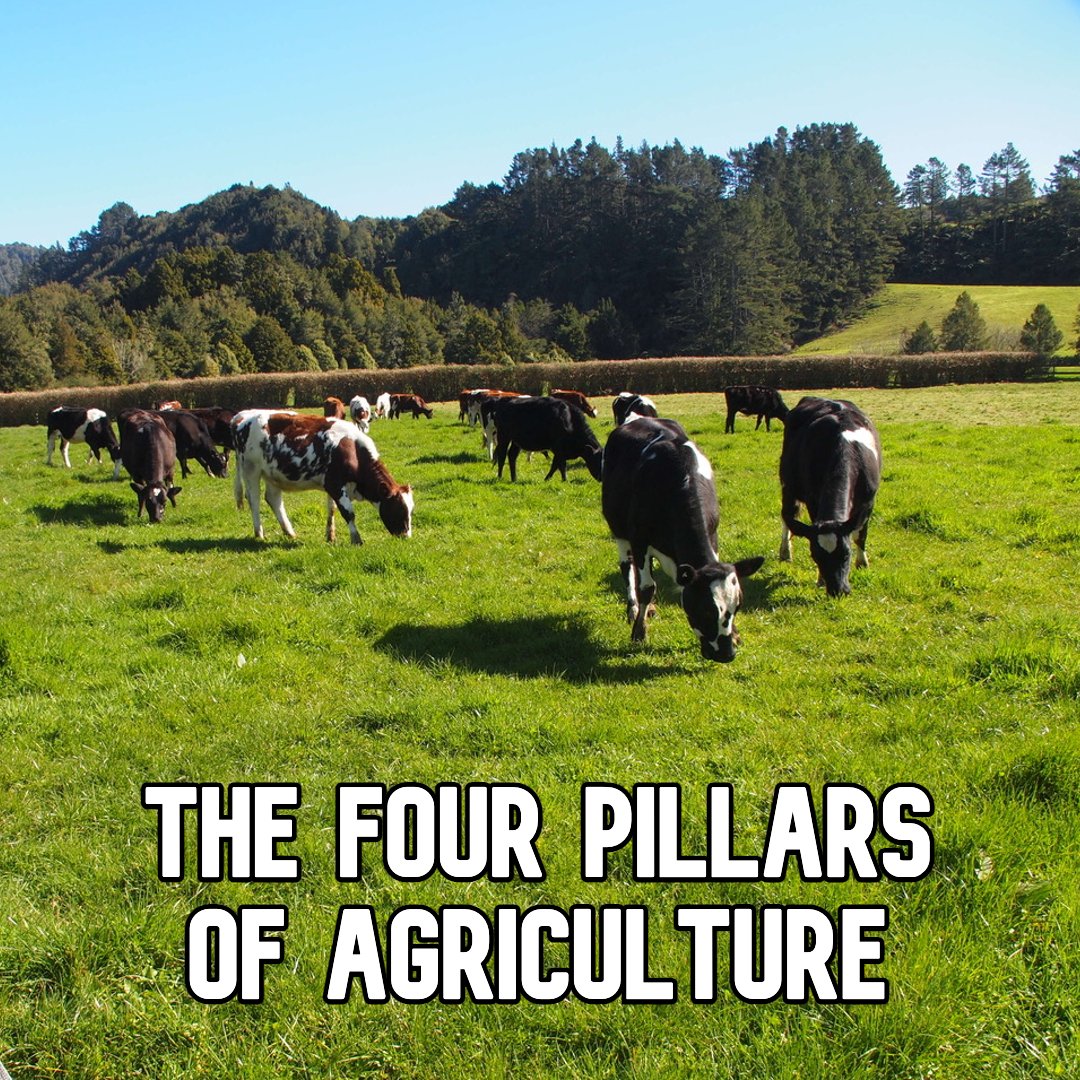 The Four Pillars of Agriculture