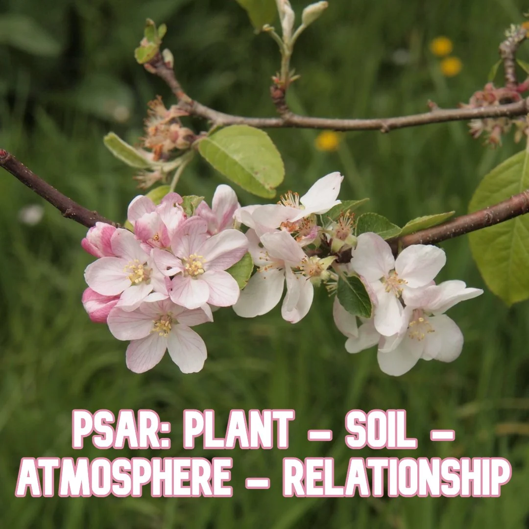 PSAR: Plant - Soil - Atmosphere - Relationship