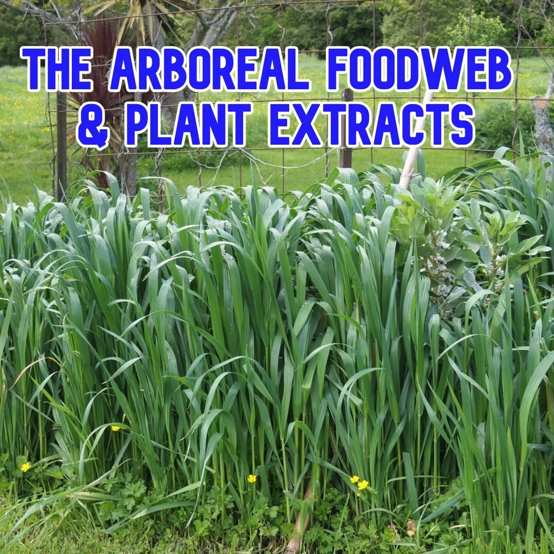 The Arboreal Foodweb &amp; Plant Extracts
