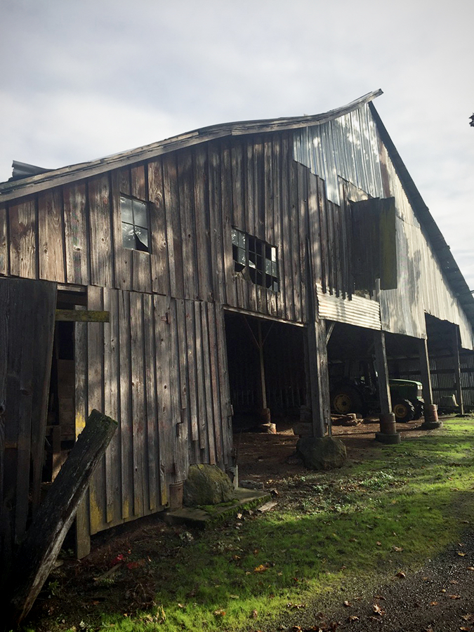 Harvesting wood for the wine bar from the family's 100-year-old barn in Oregon.